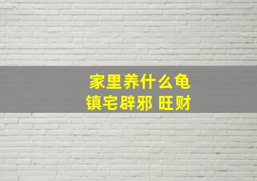 家里养什么龟镇宅辟邪 旺财